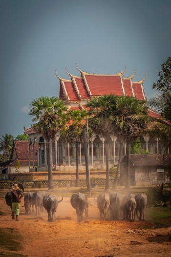 Simply life of Cambodian people around Angkor wat.