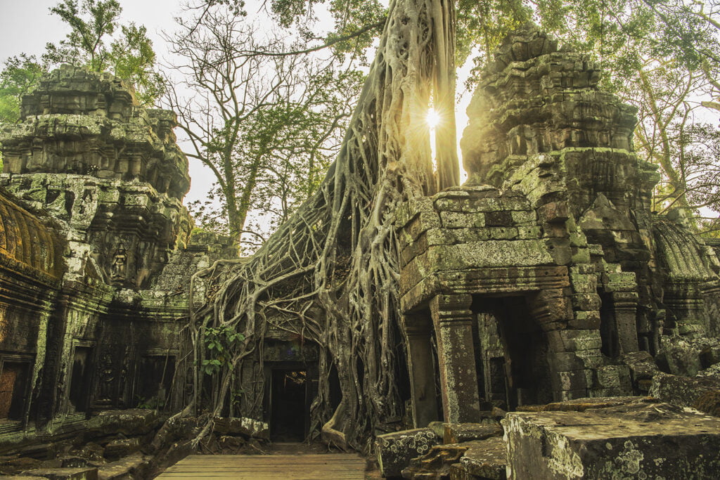 The ruined jungle Temple of Ta Prohm was built by khmer King Jayavarman VII in 1186 for his mother.